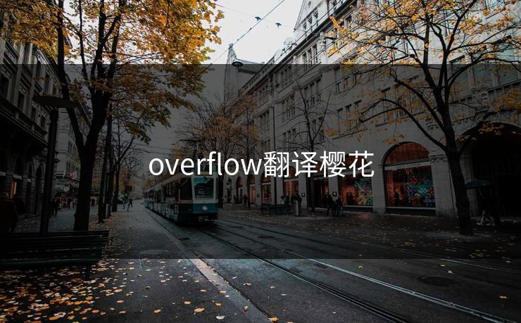 overflow翻译樱花