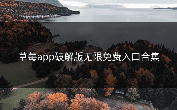 草莓app破解版无限免费入口合集