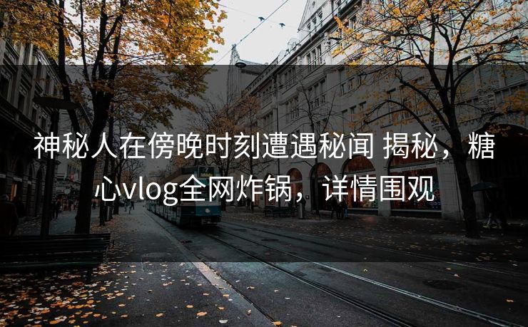 神秘人在傍晚时刻遭遇秘闻 揭秘，糖心vlog全网炸锅，详情围观