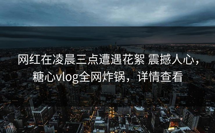 网红在凌晨三点遭遇花絮 震撼人心，糖心vlog全网炸锅，详情查看